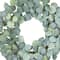 22" Eucalyptus Wreath by Ashland®